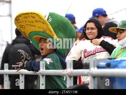 Santiago, Cile, USA. 28 ottobre 2023. SANTIAGO (CHL), 10/28/2023 -BASEBALL/FINAL/BRASILE/COLOMBIA - FINALE nazionale maschile di baseball tra Brasile e Colombia per la medaglia d'oro al Baseball and Softball Center durante i Giochi panamericani del 2023 a Santiago, Cile. (Immagine di credito: © Niyi Fote/TheNEWS2 via ZUMA Press Wire) SOLO USO EDITORIALE! Non per USO commerciale! Foto Stock