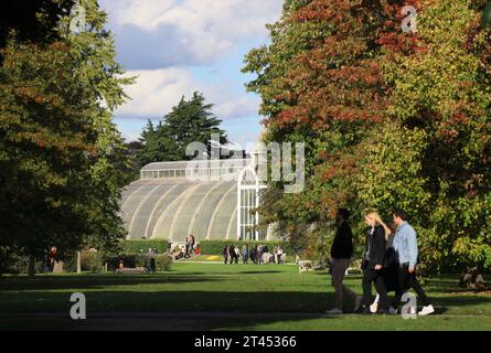 Palm House a Kew Gardens con colori autunnali, a SW London, Regno Unito Foto Stock