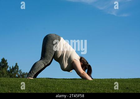 donna di mezza età in sovrappeso pratica yoga nel parco, sfondo blu cielo. Donna grassa che fa esercizio di cane verso il basso, adho mukha svanasana posa. Hea Foto Stock