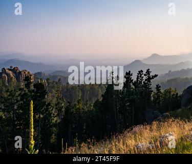 Vista nebbiosa delle Black Hills nel Custer State Park Foto Stock