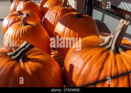 Le zucche sono pronte per la vendita per Halloween a Vancouver, Canada. Foto Stock