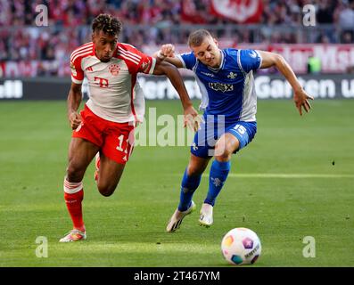 Monaco, Germania. 28 ottobre 2023. Kingsley Coman (L) del Bayern Monaco vies con Fabian Nuernberger di Darmstadt durante una partita di calcio della Bundesliga tedesca tra Bayern Monaco e SV Darmstadt 98 a Monaco di Baviera, Germania, 28 ottobre 2023. Credito: Philippe Ruiz/Xinhua/Alamy Live News Foto Stock