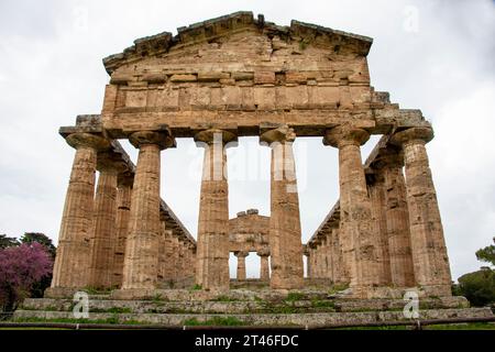 Tempio di Atena nel Parco Archeologico di Paestum - Italia Foto Stock