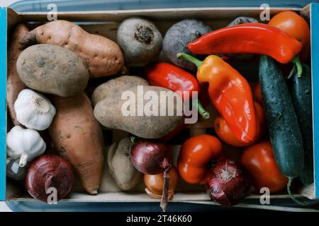 Verdure fresche multicolore giacciono in una scatola di legno. Vista dall'alto Foto Stock