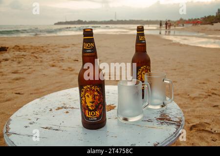 Due bottiglie di birra Lion e bicchieri freddi su un tavolo a Tangalle, in Sri Lanka Foto Stock