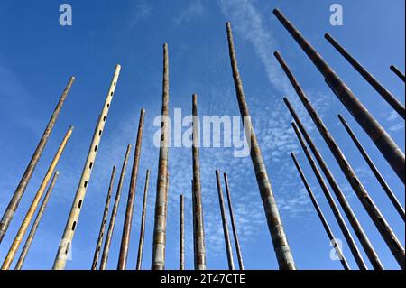 Il World Wind Organ di Vlissingen è una scultura sonora costituita da tubi di bambù posizionati verticalmente in cui sono stati fatti dei fori Foto Stock