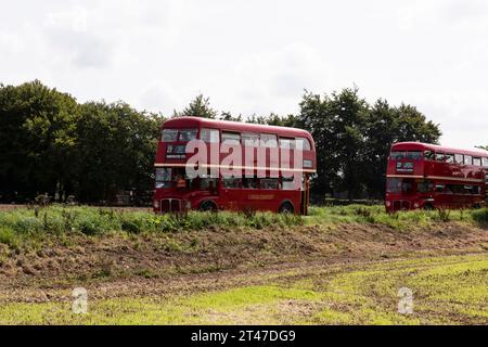 Imberbus 2017, servizio di autobus classico sulla pianura di Salisbury Foto Stock