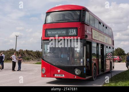 Imberbus 2017, servizio di autobus classico sulla pianura di Salisbury Foto Stock