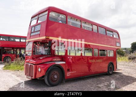 Imberbus 2017, servizio di autobus classico sulla pianura di Salisbury Foto Stock