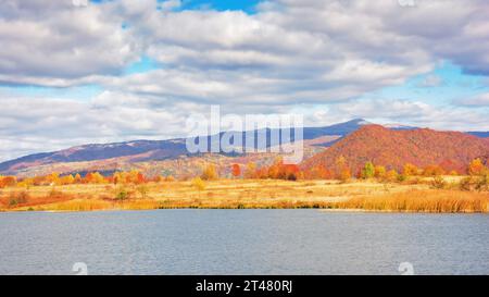 paesaggio di campagna vicino al lago. montagne boscose colorate in lontananza. paesaggi naturali all'aperto in una giornata di sole in autunno Foto Stock