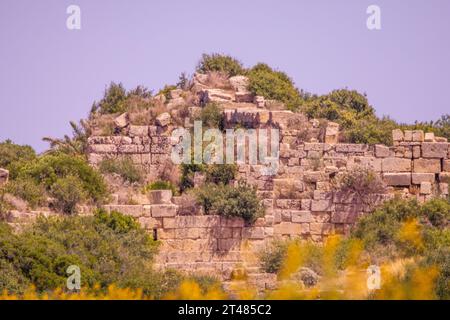 Lato del tempio a Selinunte, Sicilia Foto Stock