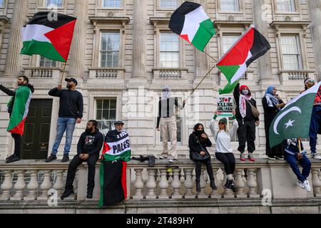 I manifestanti pro-palestinesi partecipano a una manifestazione che chiede il cessate il fuoco dell'offensiva militare in corso a Gaza da parte delle forze di difesa israeliane, sventolando la Palestina Foto Stock