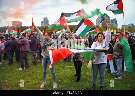 L'Aia, Paesi Bassi. 29 ottobre 2023. L'Aia, Paesi Bassi, 29 ottobre 2023. Poche migliaia di persone hanno protestato per una Palestina libera e contro la guerra a Gaza. Crediti: Pmvfoto/Alamy Live News Foto Stock