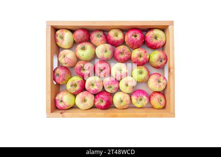 Frutti di mela biologici a righe rosse nella scatola di legno vista dall'alto isolata su bianco. Foto Stock