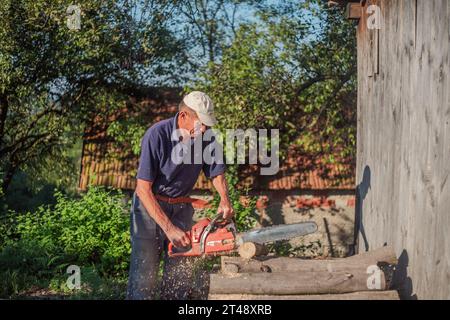 Uomo anziano che taglia l'albero con la motosega in giardino. Foto di alta qualità Foto Stock