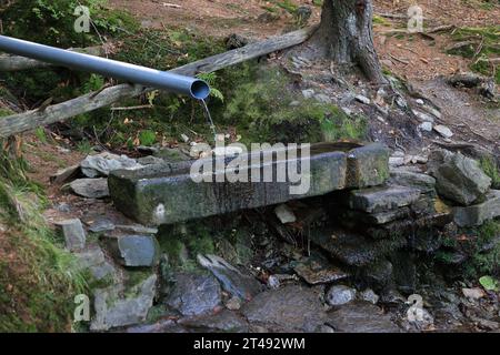 Wanderung auf den kleinen und den großen Osser Foto Stock