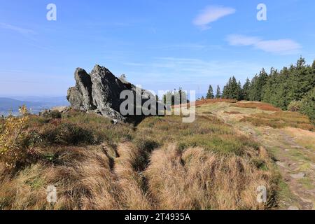 Wanderung auf den kleinen und den großen Osser Foto Stock