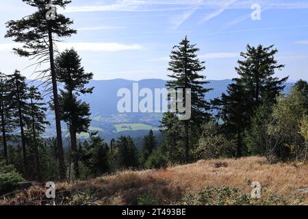 Wanderung auf den kleinen und den großen Osser Foto Stock