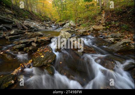 Big Hunting Creek nelle Catoctin Mountains, circondato dai colori autunnali degli alberi in autunno. Foto Stock