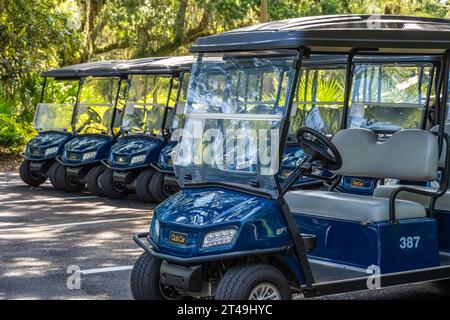 Golf cart Club Car presso l'Omni Amelia Island Resort su Amelia Island nel nord-est della Florida. (USA) Foto Stock