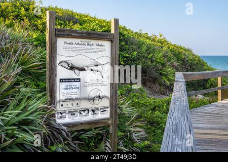 Cartello informativo lungo l'accesso pubblico alla spiaggia di Ponte Vedra Beach, Florida, sulle balene franche dell'Atlantico settentrionale. (USA) Foto Stock