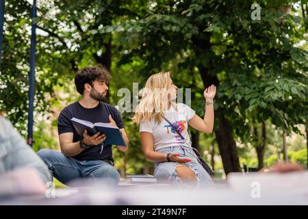 Studentessa che spiega qualcosa sul progetto al suo collega maschio nel cortile del college Foto Stock