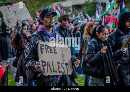 L'Aia, Olanda meridionale, Paesi Bassi. 29 ottobre 2023. Un manifestante in marcia ha un segno di Palestina libera. Il 29 ottobre 2023, migliaia di manifestanti pro-palestinesi si sono riuniti a Malieveld all'Aia per protestare contro l'aumento della violenza israeliana a Gaza. I dimostranti seguirono questa marcia attraverso la città fino al Palazzo della Pace. (Immagine di credito: © James Petermeier/ZUMA Press Wire) SOLO USO EDITORIALE! Non per USO commerciale! Crediti: ZUMA Press, Inc./Alamy Live News Foto Stock