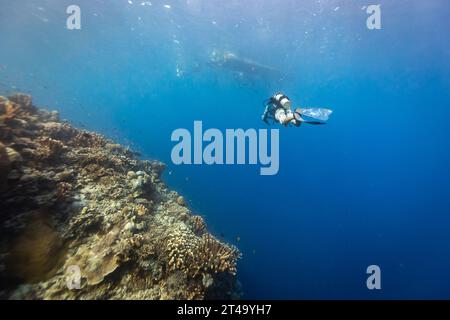 Il subacqueo sale e torna in barca mentre ti immergi nelle acque blu tropicali sopra una barriera corallina Foto Stock