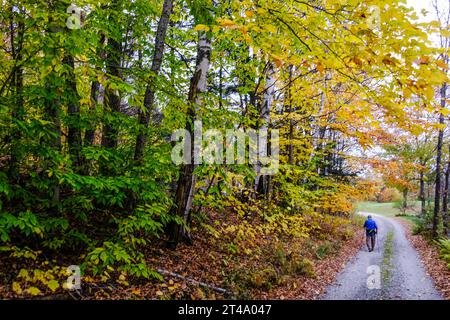 Una persona anziana cammina lungo una strada di campagna nel Vermont vicino al colorato fogliame autunnale utilizzando bastoncini da sci con cui camminare. Foto Stock