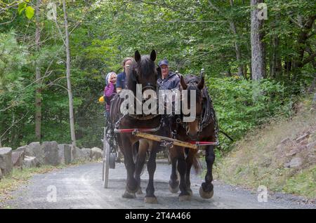 Vista frontale di un giro in carrozza trainata da cavalli nel Parco Nazionale di Acadia, Mount Desert Island, Maine, Stati Uniti Foto Stock