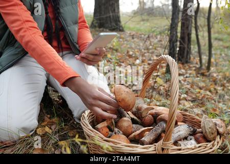 Foto ritagliata di una giovane blogger con smartphone che guarda in diretta streaming la raccolta di funghi nella foresta autunnale nel fine settimana Foto Stock