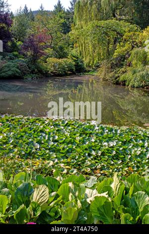 Lago di cava nel Sunken Garden, Butchart Gardens Foto Stock