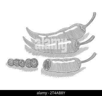 Peperoncino intero e fette, illustrazione vettoriale in stile disegno con incisione Vintage Illustrazione Vettoriale