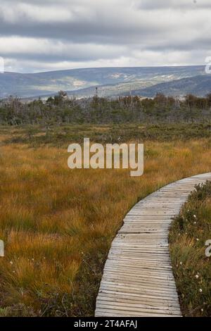 Nubi di tempesta scure su montagne e pianure vegetazione intorno al sentiero Baker's Brook a Gros Morne Terranova Foto Stock