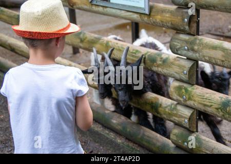 il bambino con cura nutre la capra. Prodotto ecologico nell'azienda agricola. Latte di capra utile. Vacanze estive in campagna. BIOGRAFIA. Qua alta Foto Stock