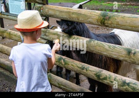 il bambino con cura nutre la capra. Prodotto ecologico nell'azienda agricola. Latte di capra utile. Vacanze estive in campagna. BIOGRAFIA. Qua alta Foto Stock