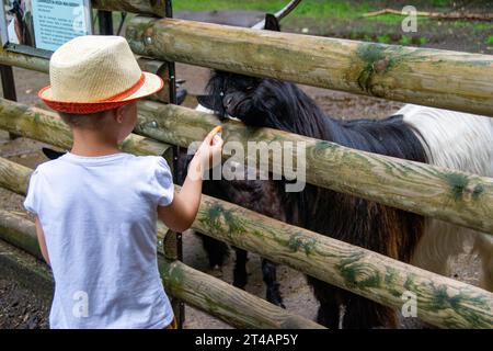 il bambino con cura nutre la capra. Prodotto ecologico nell'azienda agricola. Latte di capra utile. Vacanze estive in campagna. BIOGRAFIA. Qua alta Foto Stock