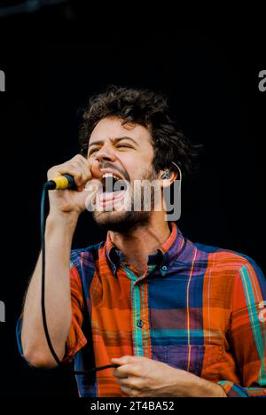 Michael Angelakos - Passion Pit, V2010, Hylands Park, Chelmsford, Essex, Regno Unito - 21 agosto 2010 Foto Stock