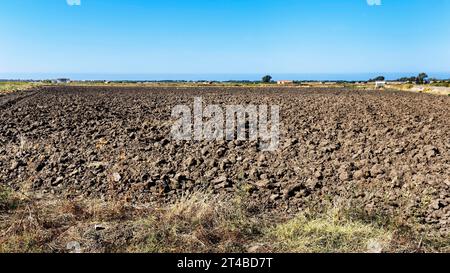 Campo raccolto, terreno arato, terreno agricolo in autunno, siccità, Sardegna, Italia Foto Stock