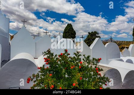 Luogo tranquillo per un riposo eterno, cimitero imbiancato in Andalusia, Spagna meridionale, giorno estivo con cielo nuvoloso Foto Stock