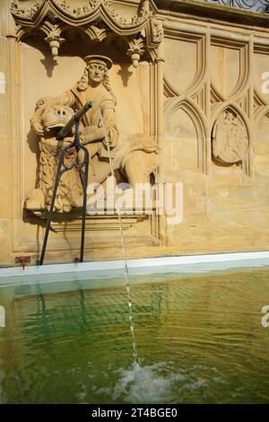 Fontana del mercato, fontana di pesci costruita nel 1509 con sculture Simson e figura di leone, bacino d'acqua, getto d'acqua, acqua, gargoyle, Market Place, Schwaebisch Foto Stock