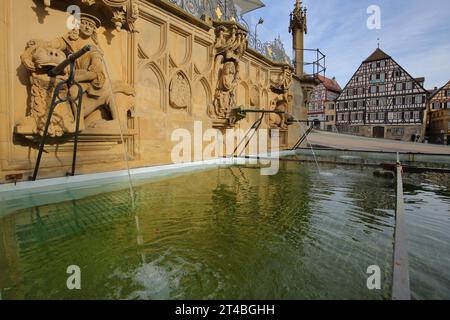 Fontana del mercato, fontana del pesce costruita nel 1509 con sculture Simson e bacino d'acqua e casa a graticcio Clausnitzer-Haus, fontana a scatola, getto d'acqua Foto Stock