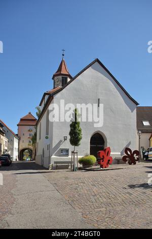 St Martin's Church and New Heilbronn Gate, City Gate, Lauffen am Neckar, Neckar Valley, Baden-Wuerttemberg, Germania Foto Stock