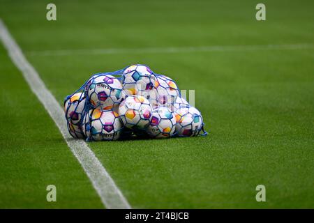 Adidas Derbystar le palle si trovano in rete su erba, MHPArena, MHP Arena Stuttgart, Baden-Wuerttemberg, Germania Foto Stock