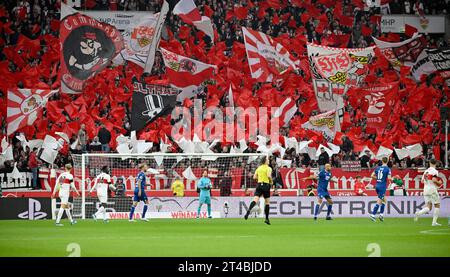 Bundesliga Match, Cannstatter Kurve, fan block, flag, umore, Atmospheric, in goal Oliver Baumann TSG 1899 Hoffenheim (01), MHPArena, MHP Arena Foto Stock