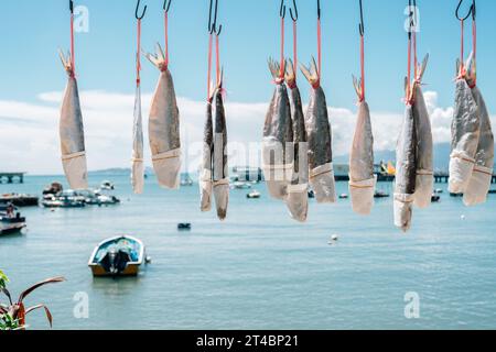 Lamma Island Yung Shue Wan villaggio di pescatori a Hong Kong Foto Stock