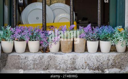 Vasi di fiori vicino alla finestra della cucina in una casa a Corfù in Grecia Foto Stock