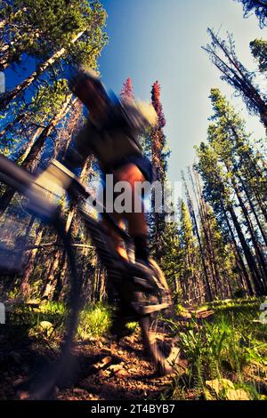 Un uomo in mountain bike tra le montagne intorno a Stanley, Idaho. Foto Stock