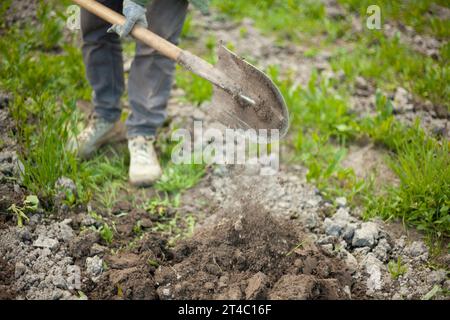 Scavando su suolo. Giardiniere scava terra con pala. Letto di piante. Piantando giovani pianta in suolo. Dettagli della vita agricola. Foto Stock