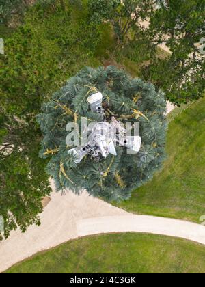 Vista aerea di un'antenna relè telefono cellulare camuffata come un falso albero (Francia). Montante del telefono cellulare mascherato da pino. Foto Stock